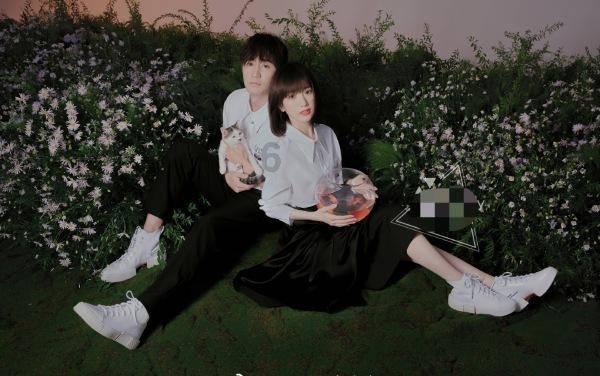 电视剧《慕南枝》改名为了《嘉南传》，这部剧是讲述什么故事的？